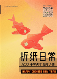 Collection for the  New Year 2022