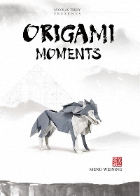 Vol 9 Origami Moments