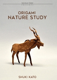 #9 Origami Nature Study